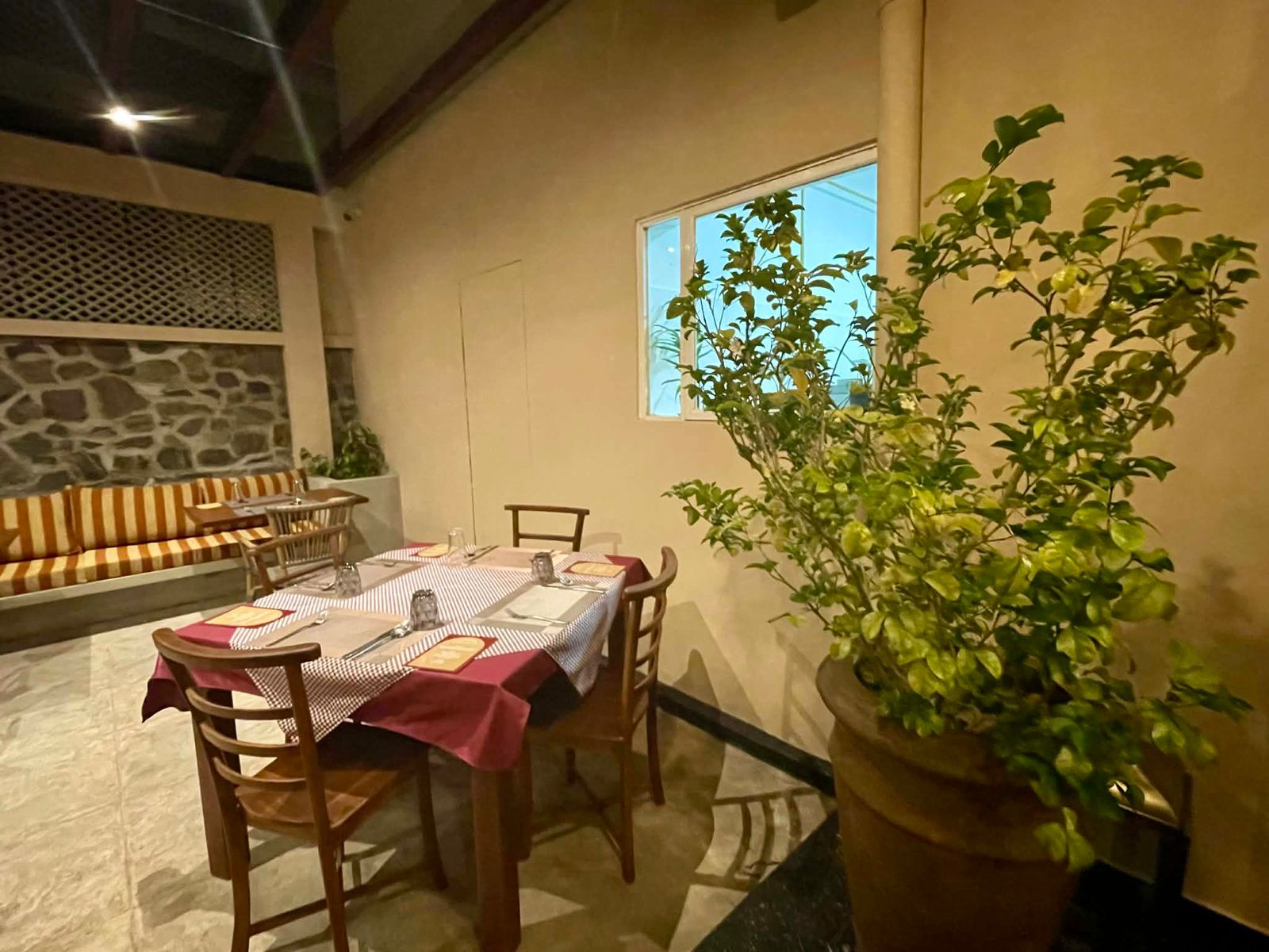 Chess Master Club & Cafe experience